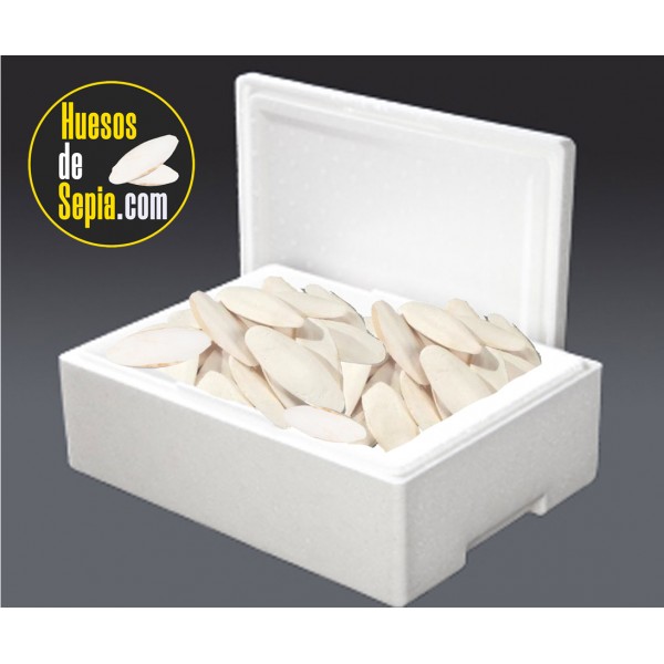 Bulk Cuttlefish Bones 875 Grs 